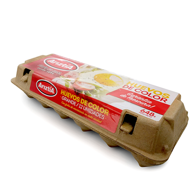 Huevos de color 12 unidades